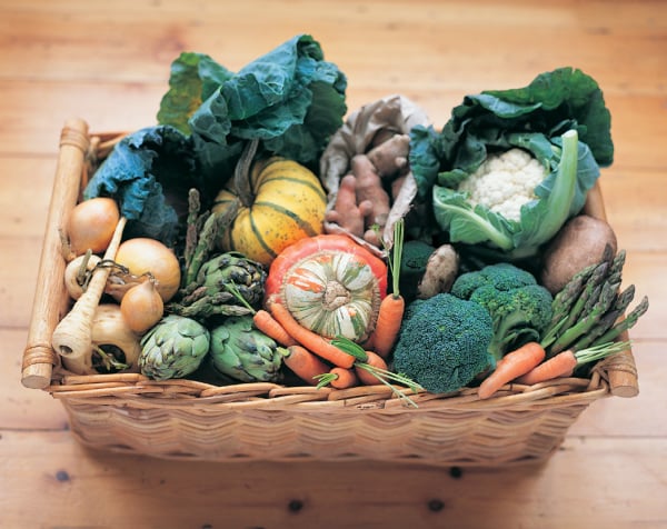A Harvest of Thanksgiving